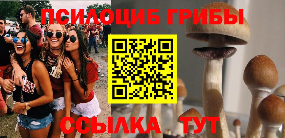 Краснокамск  Псилоцибиновые грибы Psilocybine cubensis  Вход с VPN  Псилоцибиновые грибы прущие грибы 