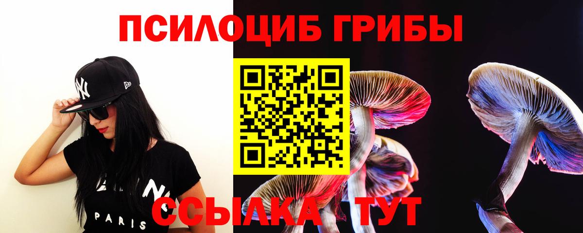 Галлюциногенные грибы Psilocybine cubensis Краснокамск
